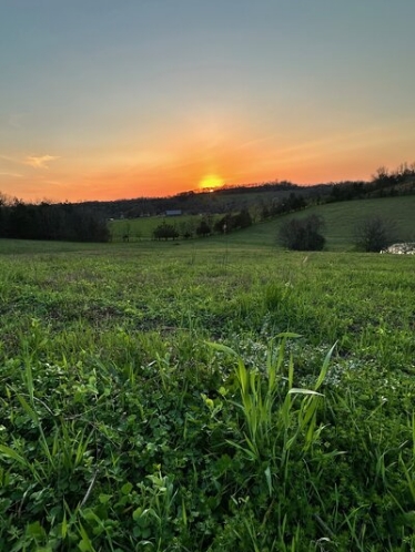 Wildrootfarm Img 21